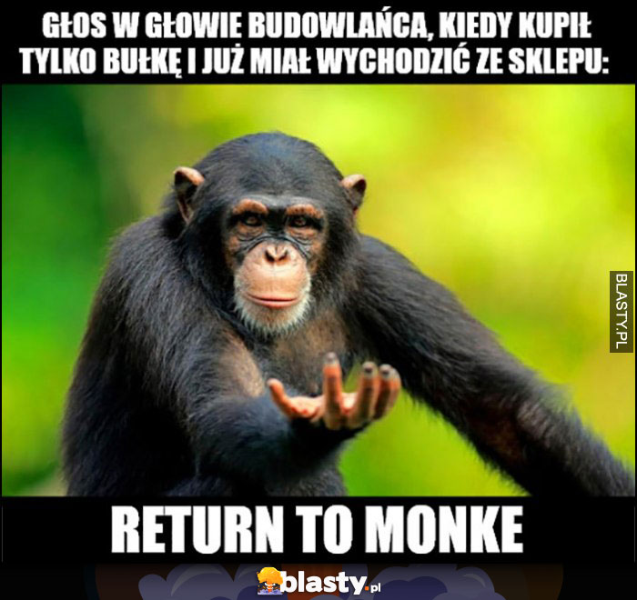 Głos w głowie budowlańca, kiedy kupił tylko bułkę i wychodzi ze sklepu: return to monke małpka