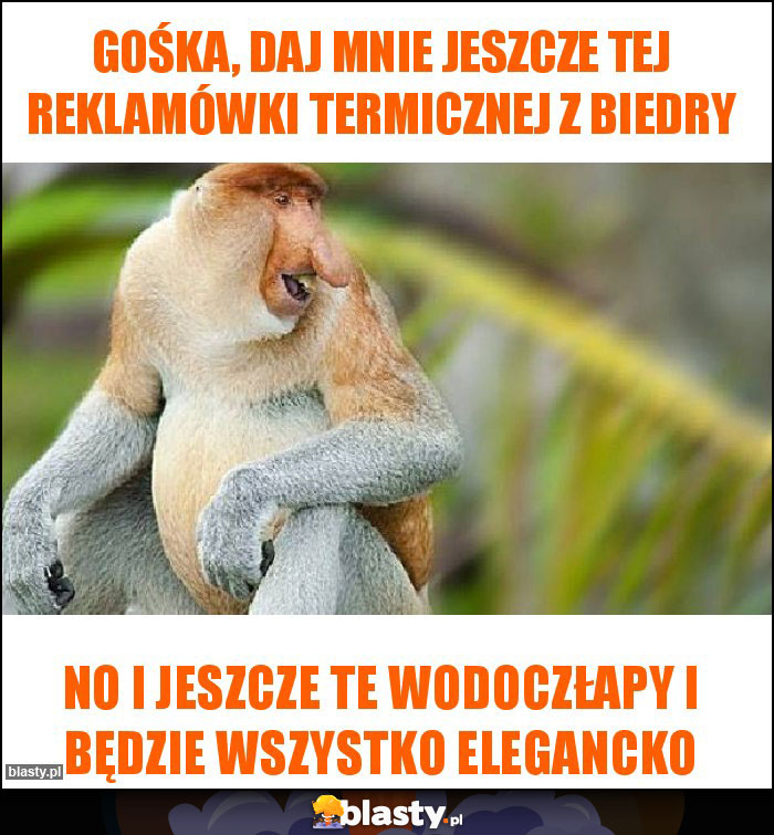 Gośka, daj mnie jeszcze tej reklamówki termicznej z biedry