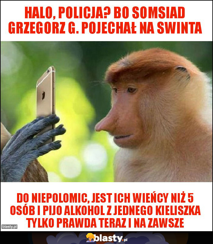 Halo, policja? Bo somsiad Grzegorz g. Pojechał na swinta
