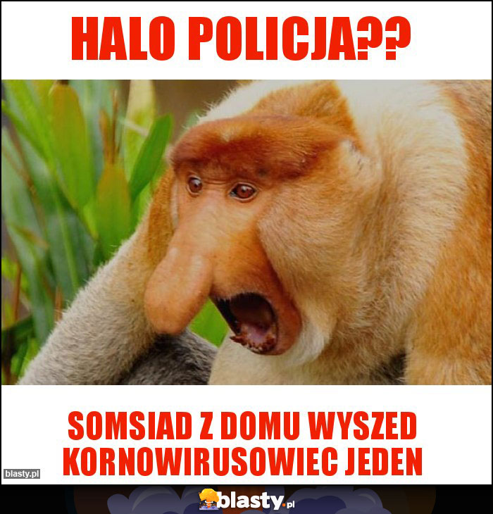 Halo policja??