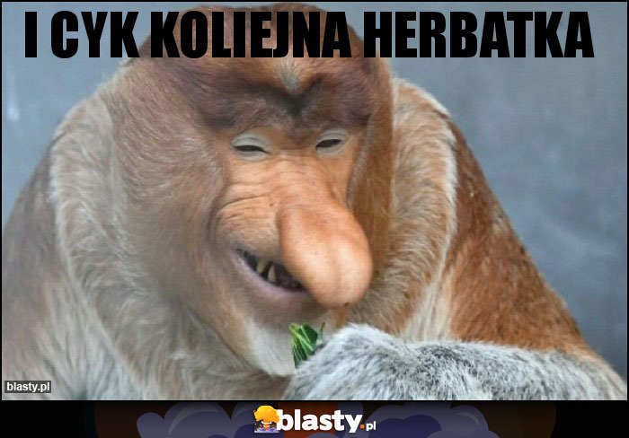 i cyk koliejna herbatka