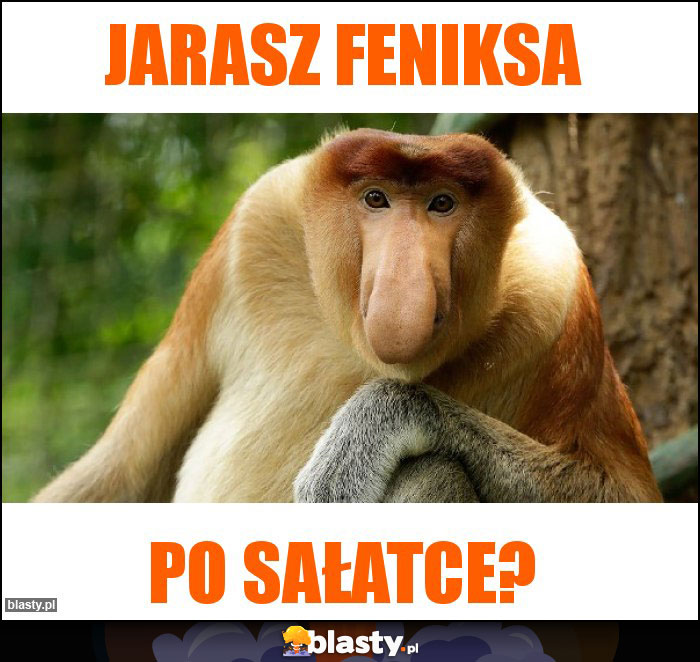 Jarasz feniksa
