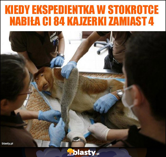 Kiedy ekspedientka w stokrotce nabiła ci 84 kajzerki zamiast 4