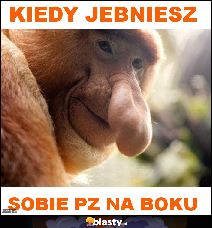 kiedy jebniesz
