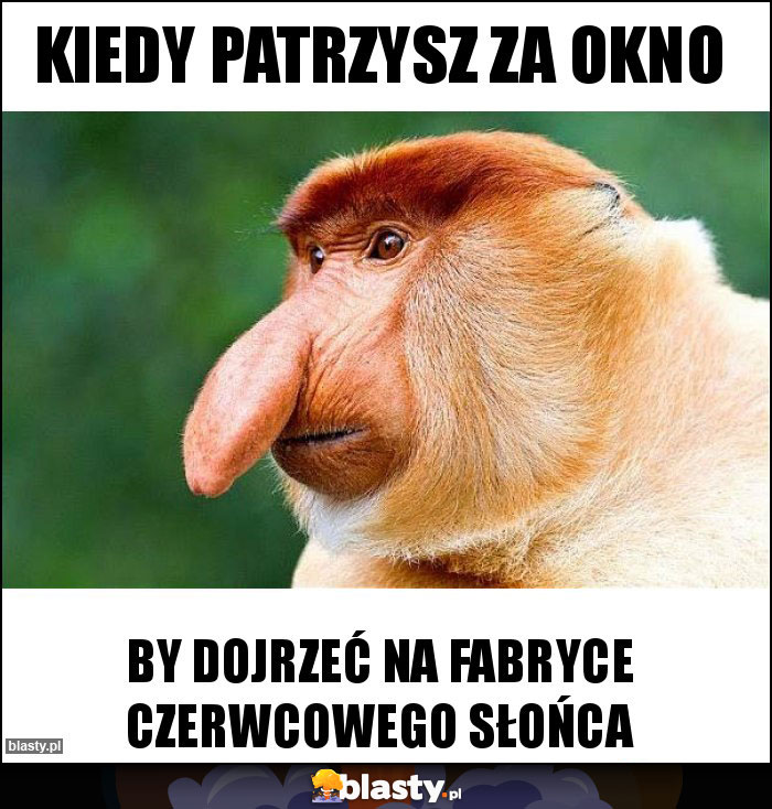 Kiedy patrzysz za okno
