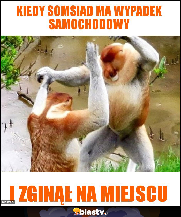Kiedy somsiad ma wypadek samochodowy
