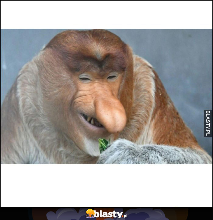 kiedy somsiadowi zepsuje się