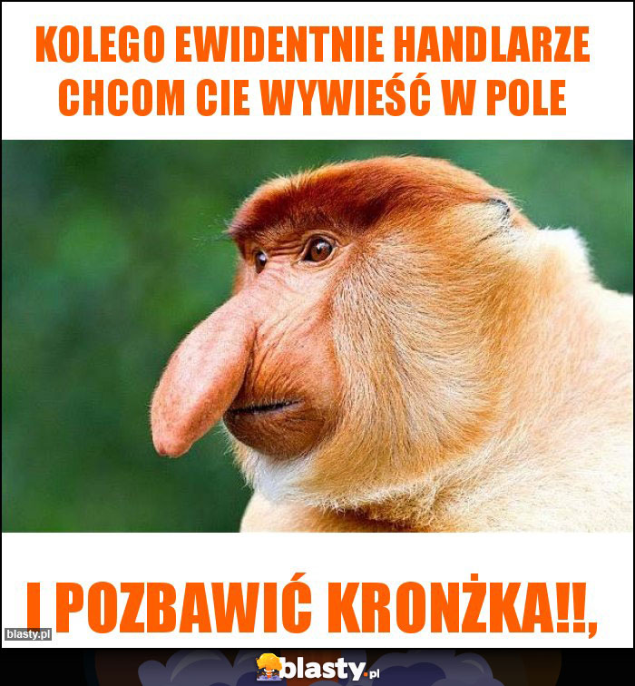 KOLEGO EWIDENTNIE HANDLARZE CHCOM CIE WYWIEŚĆ W POLE