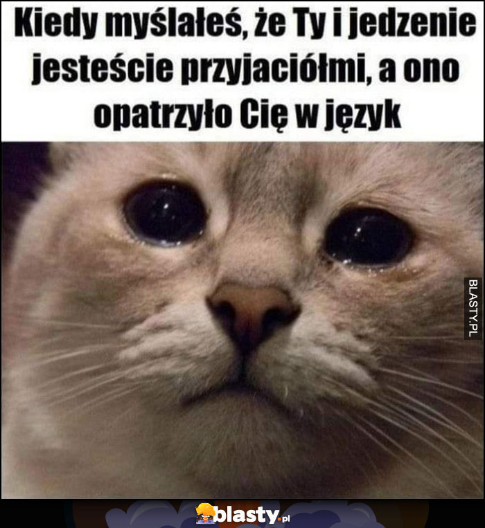 Kot kotek smutny płacze kiedy myślałeś, że Ty i jedzenie jesteście przyjaciółki, a ono oparzyło Cię w język