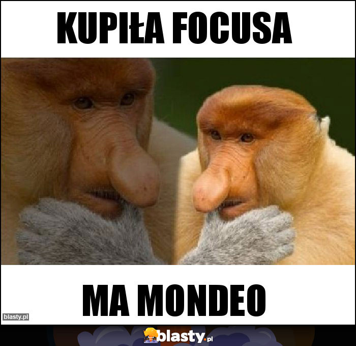 Kupiła Focusa