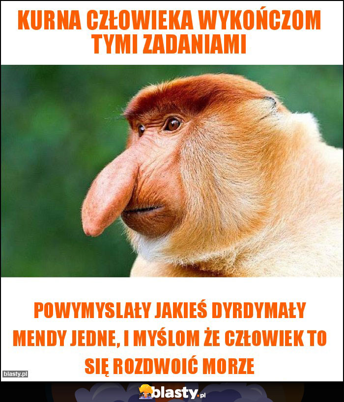 Kurna człowieka wykończom tymi zadaniami