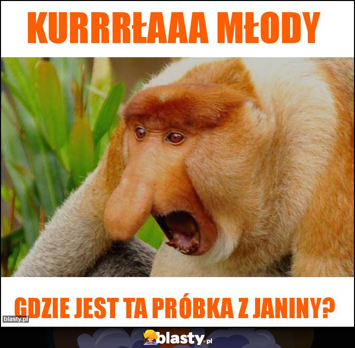 Kurrrłaaa młody