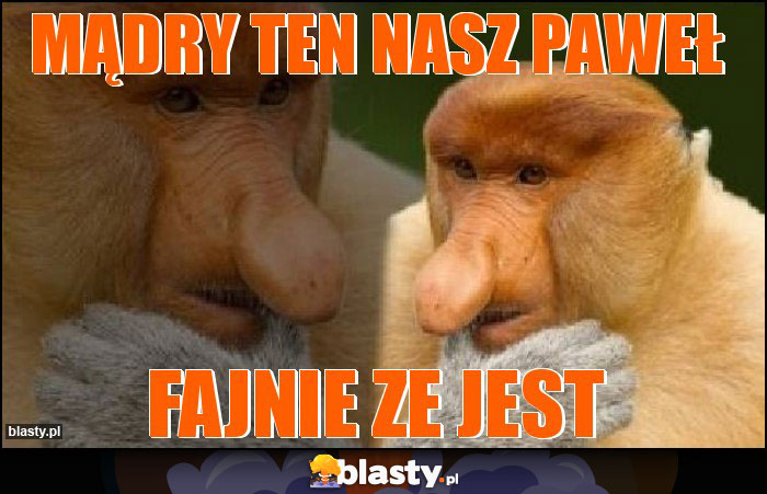 Mądry ten nasz Paweł