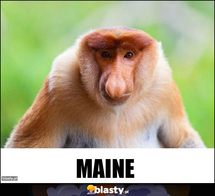Maine