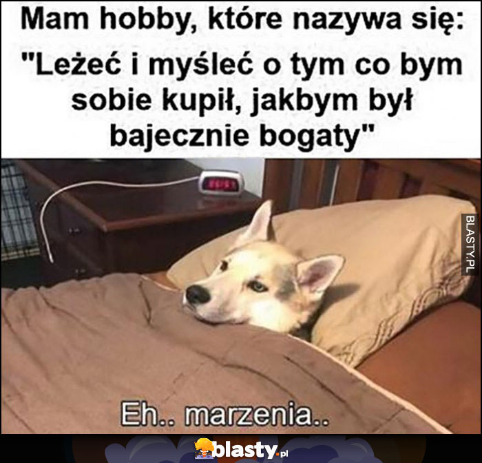 Mam hobby które nazywa się leżeć i myśleć o tym co bym sobie kupił jakbym był bajecznie bogaty