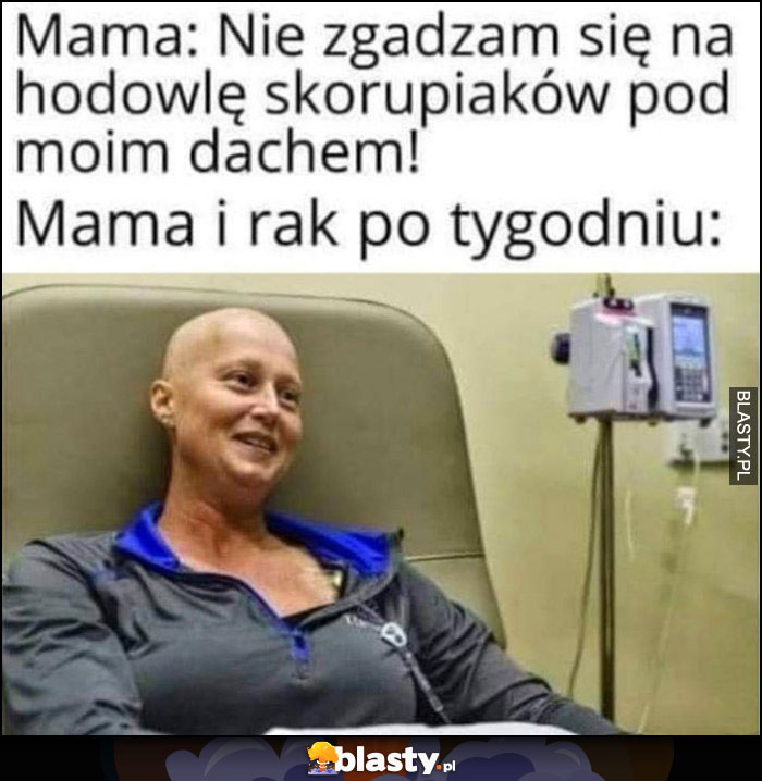 Mama: nie zgadzam się na hodowlę skorupiaków pod moim dachem, mama i rak po tygodniu dosłownie