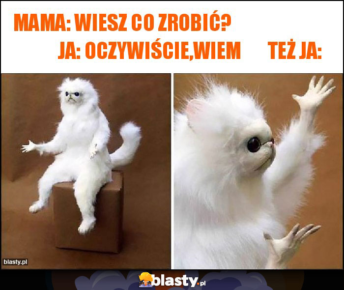 mama: wiesz co zrobić?                                     ja: oczywiście,wiem       też ja:
