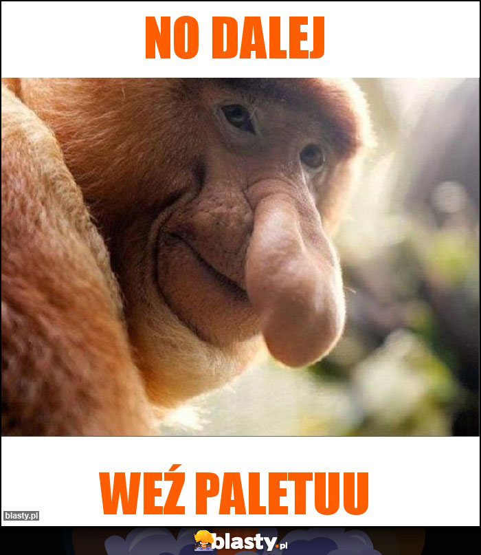 No dalej