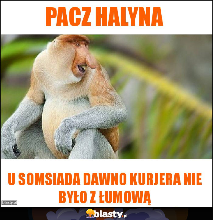 PACZ HALYNA