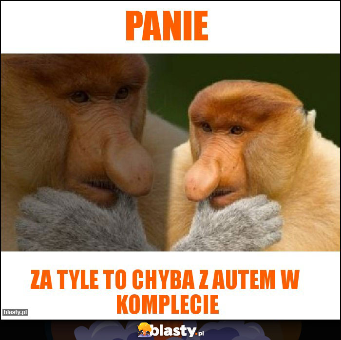 Panie