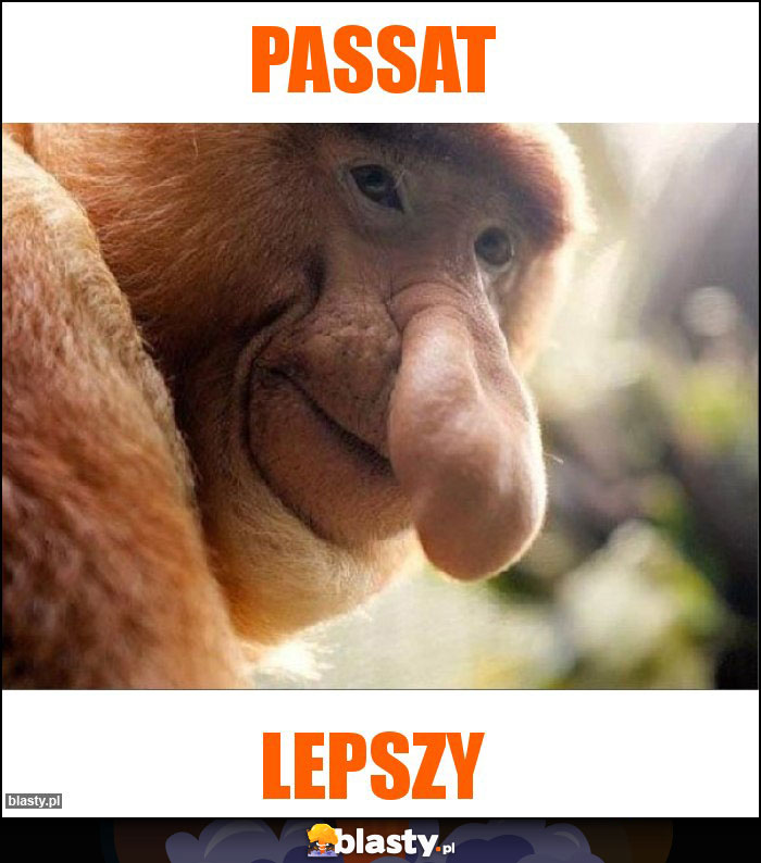 Passat