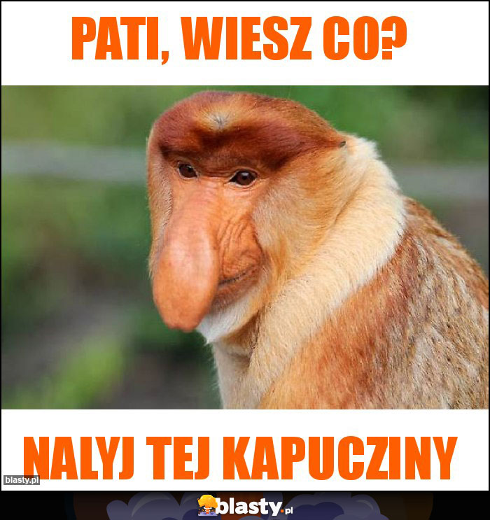 Pati, wiesz co?