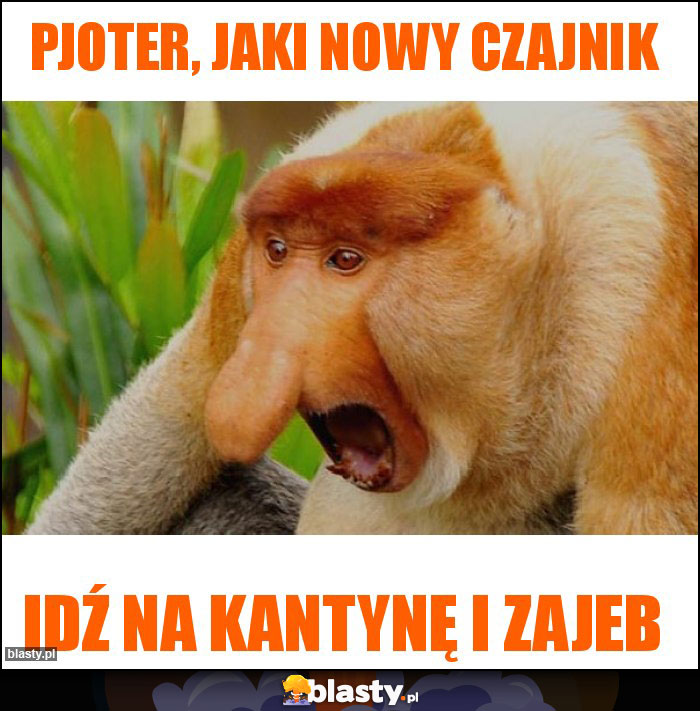 Pjoter, jaki nowy czajnik