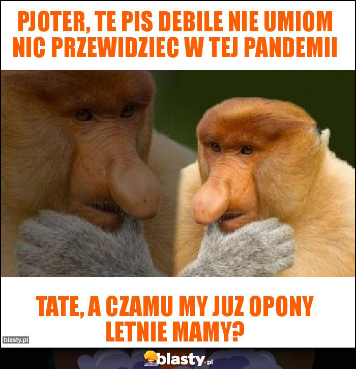 Pjoter, te pis debile nie umiom nic przewidziec w tej pandemii