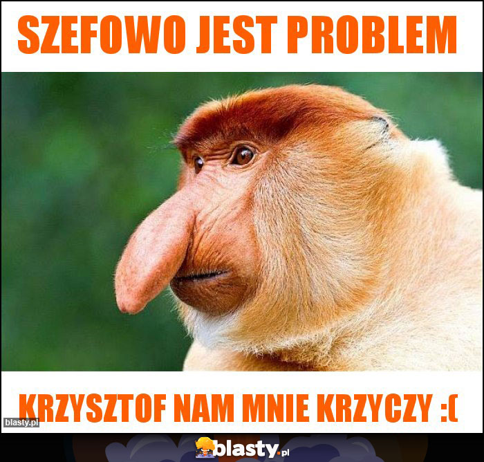 Szefowo jest problem