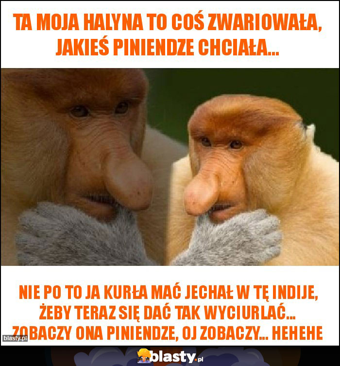 Ta moja Halyna to coś zwariowała, jakieś piniendze chciała...