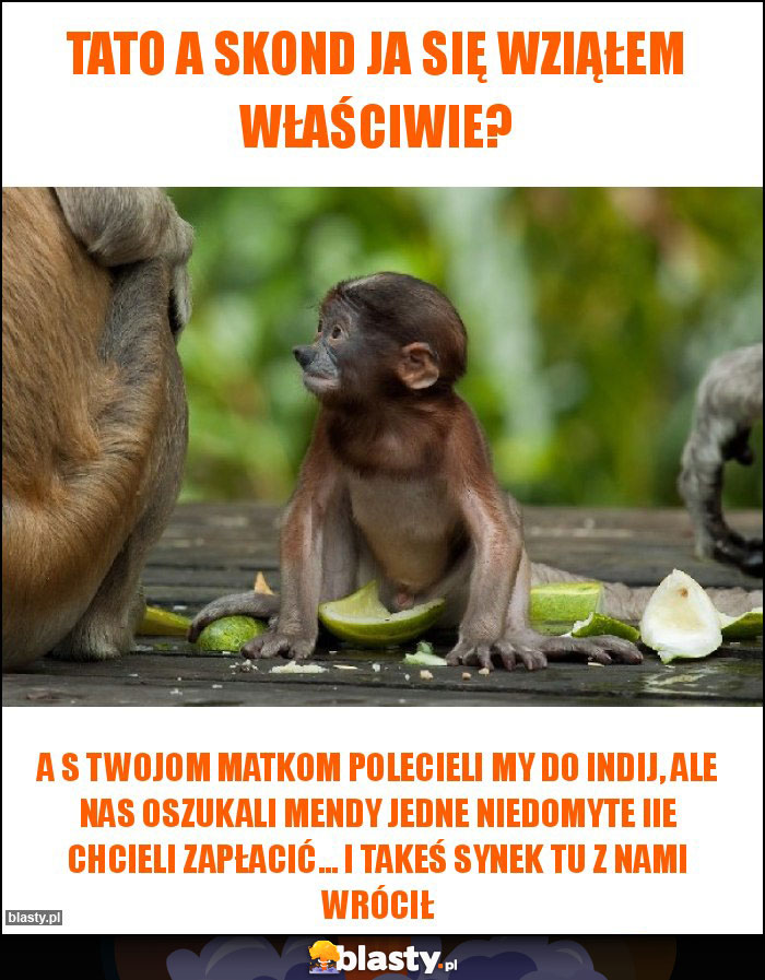 Tato a skond ja się wziąłem właściwie?