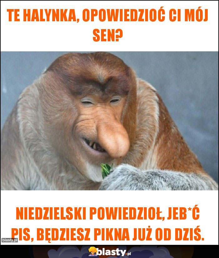 Te halynka, opowiedzioć ci mój sen?