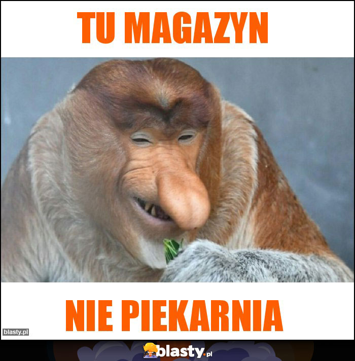 Tu magazyn