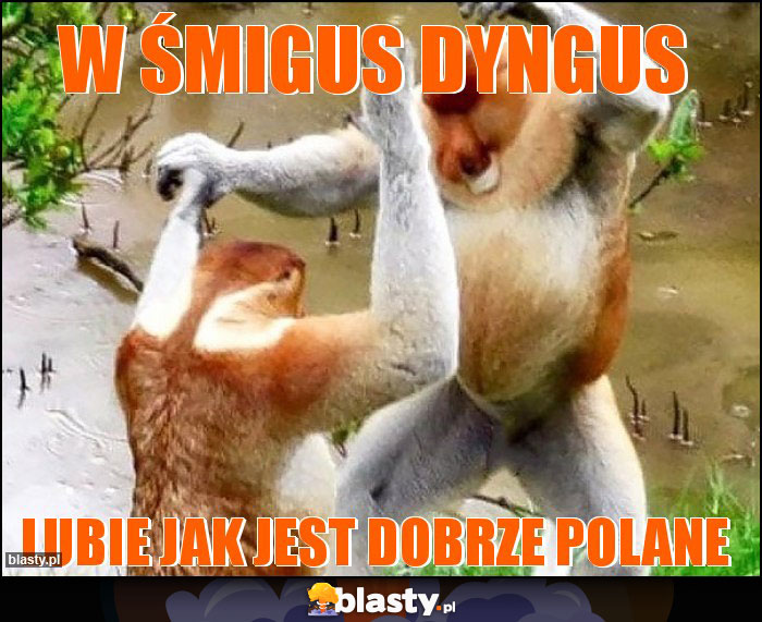 W śmigus dyngus