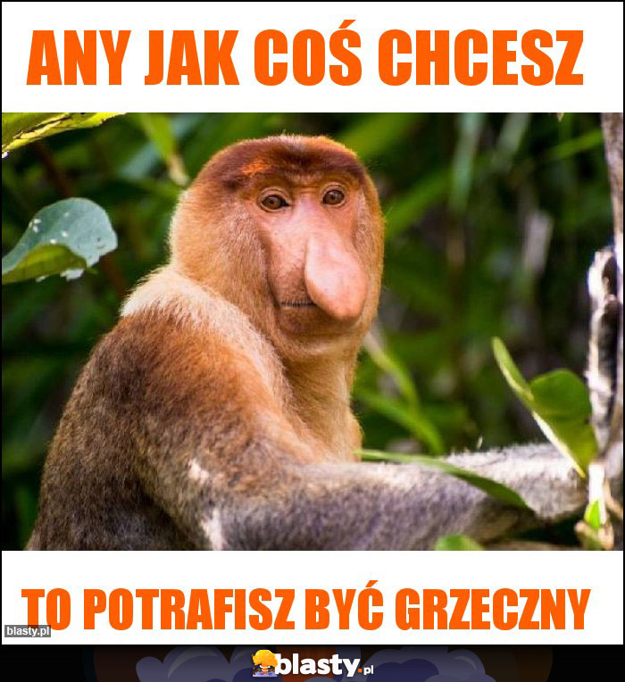 Any jak coś chcesz