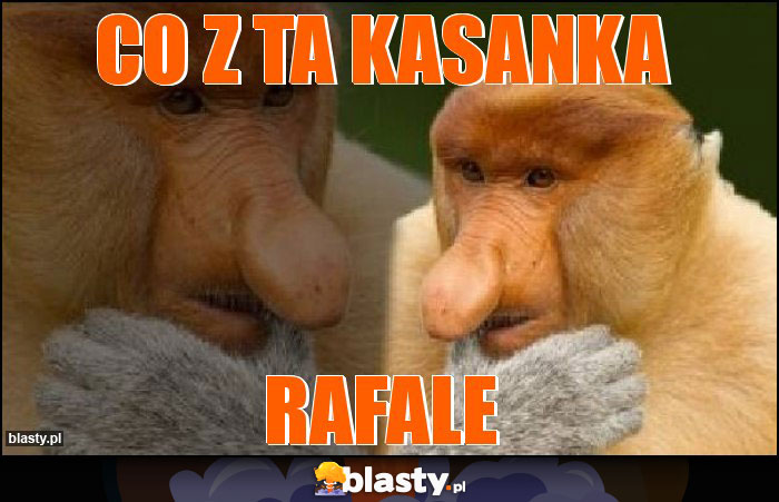 CO Z TA KASANKA