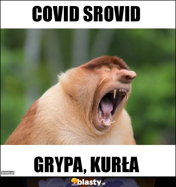 COVID SROVID