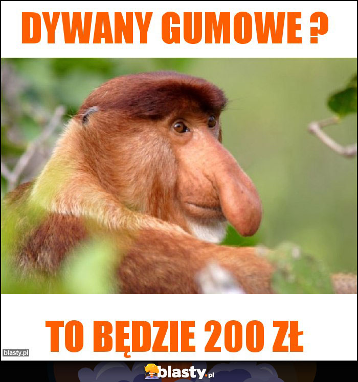DYWANY GUMOWE ?