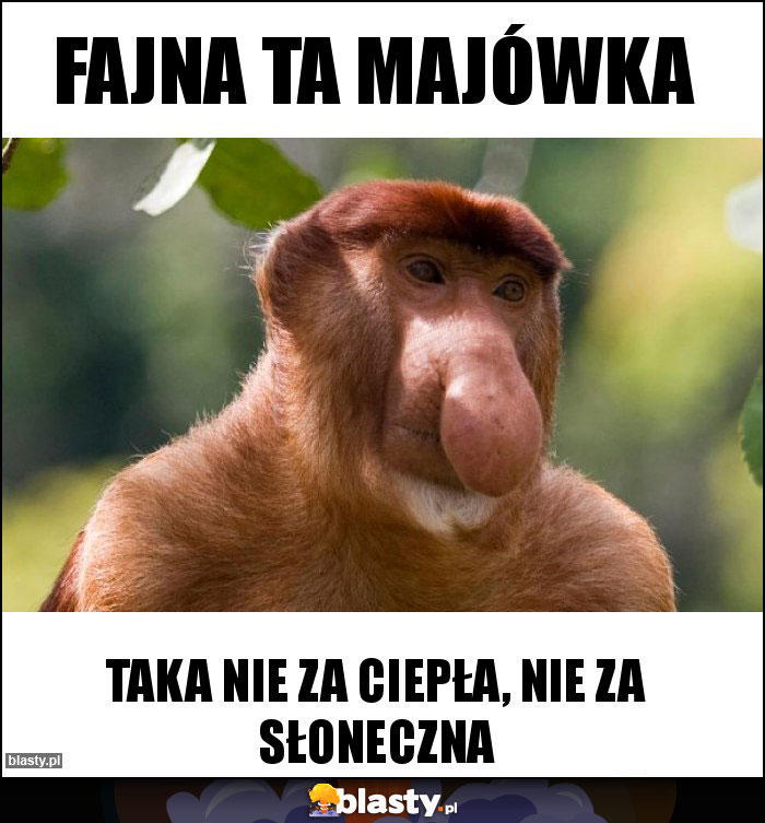 Fajna ta majówka