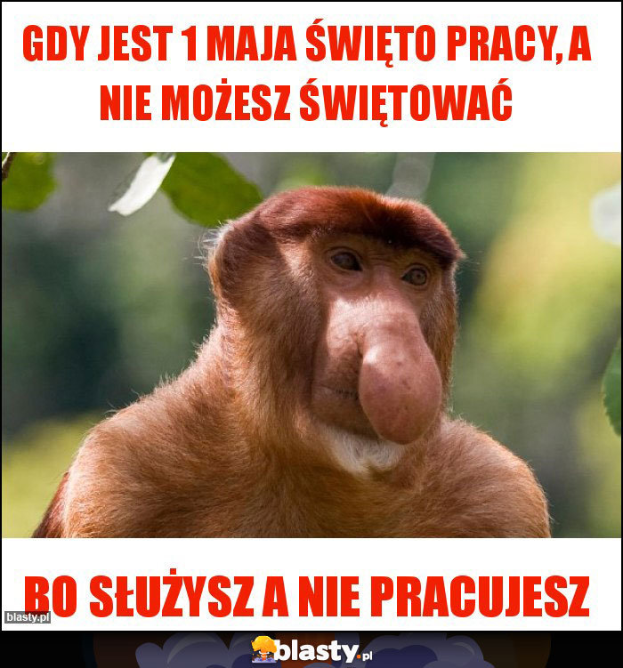 Gdy jest 1 maja święto pracy, a nie możesz świętować