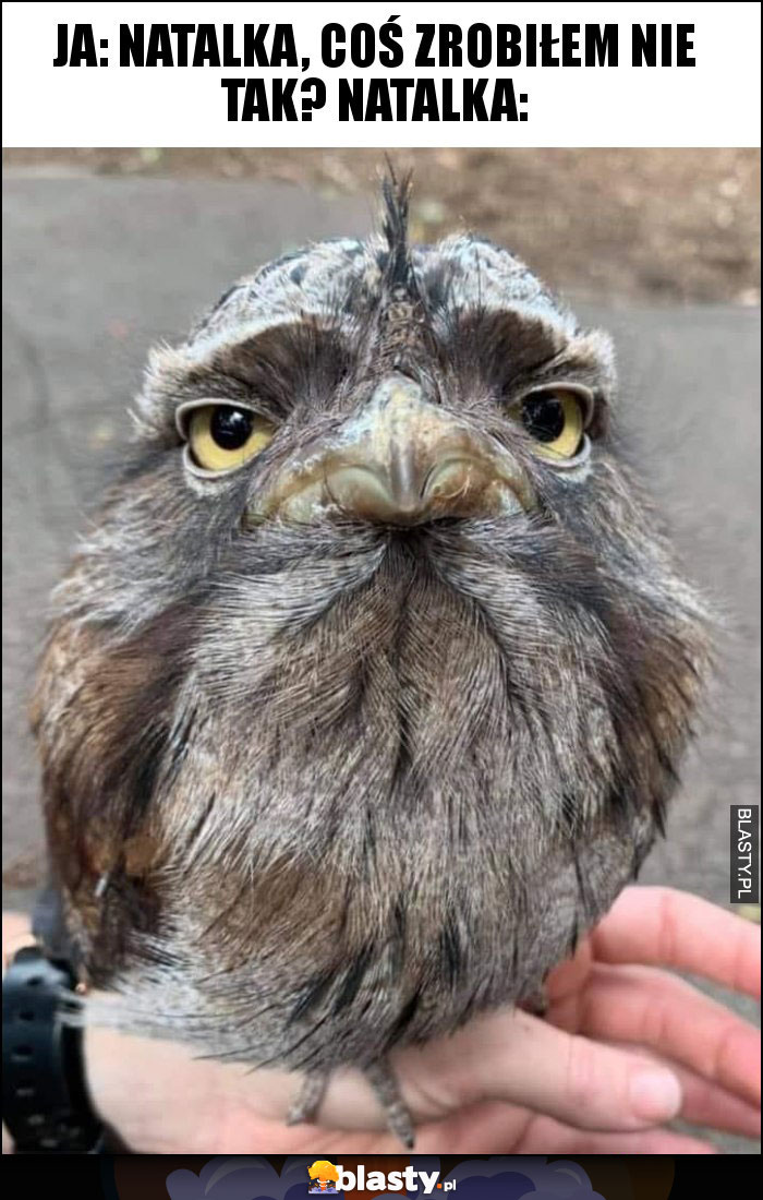 Ja: Natalka, coś zrobiłem nie tak? Natalka: