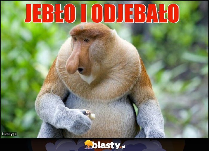 Jebło i odjebało