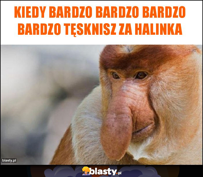 Kiedy bardzo bardzo bardzo bardzo tęsknisz za Halinka
