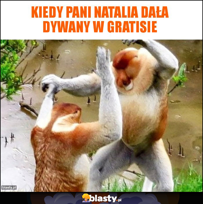 KIEDY PANI NATALIA DAŁA DYWANY W GRATISIE