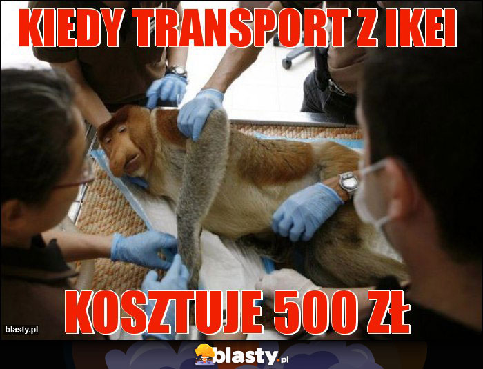 Kiedy transport z IKEI