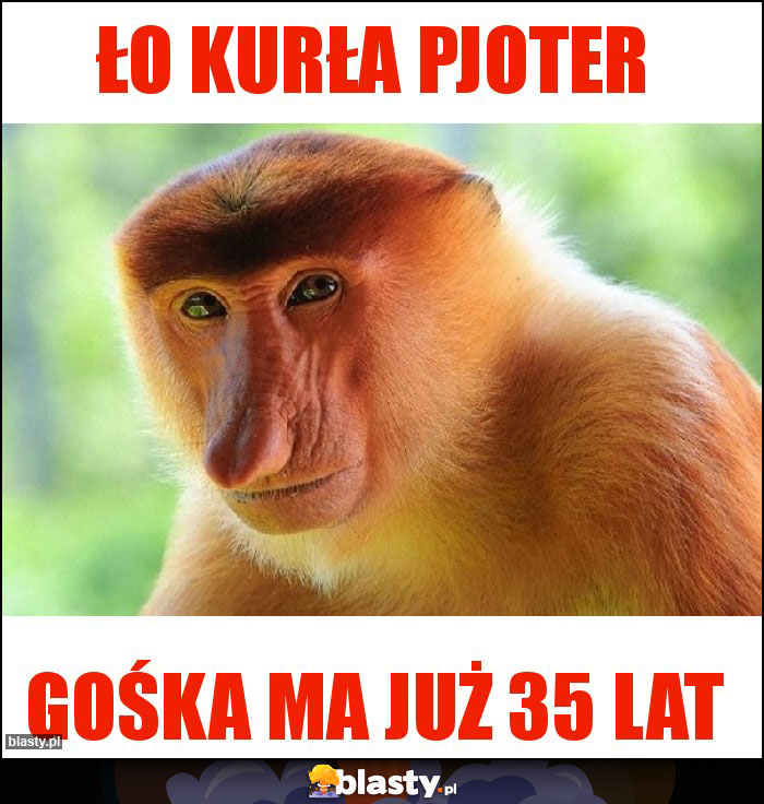 Ło kurła pjoter