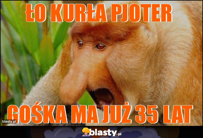 Ło kurła Pjoter
