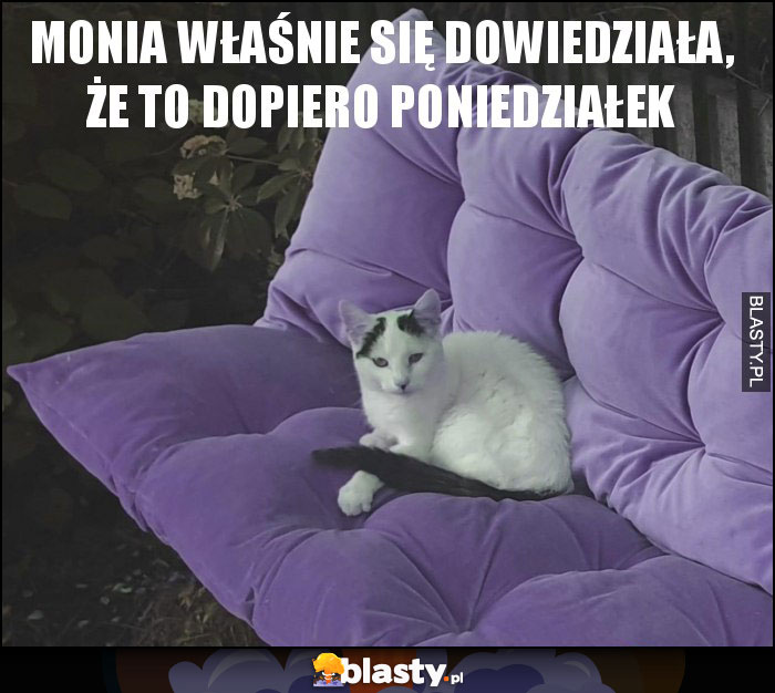 Monia właśnie się dowiedziała, że to dopiero poniedziałek