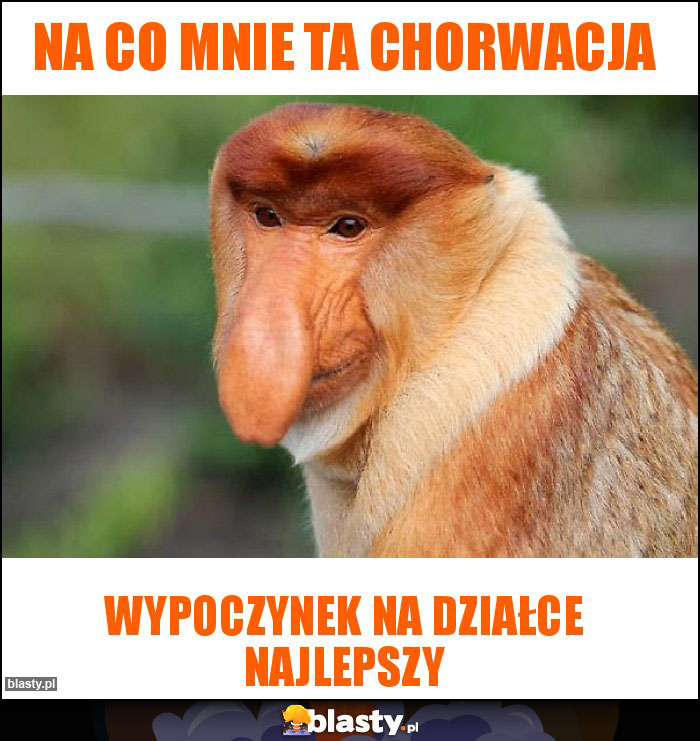 na co mnie ta chorwacja