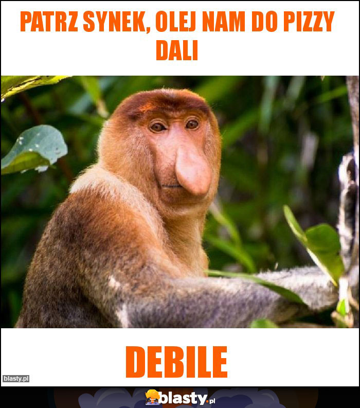patrz synek, olej nam do pizzy dali